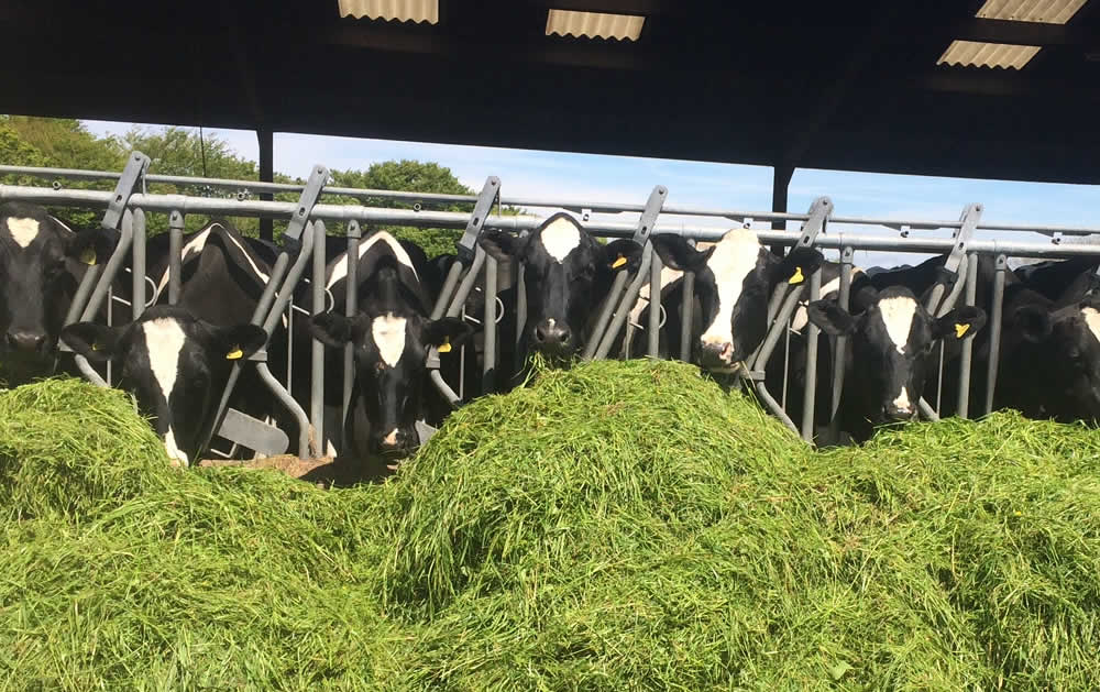 Farm Admin SW